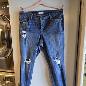Distressed LOFT Plus Ladies Jeans sz 16